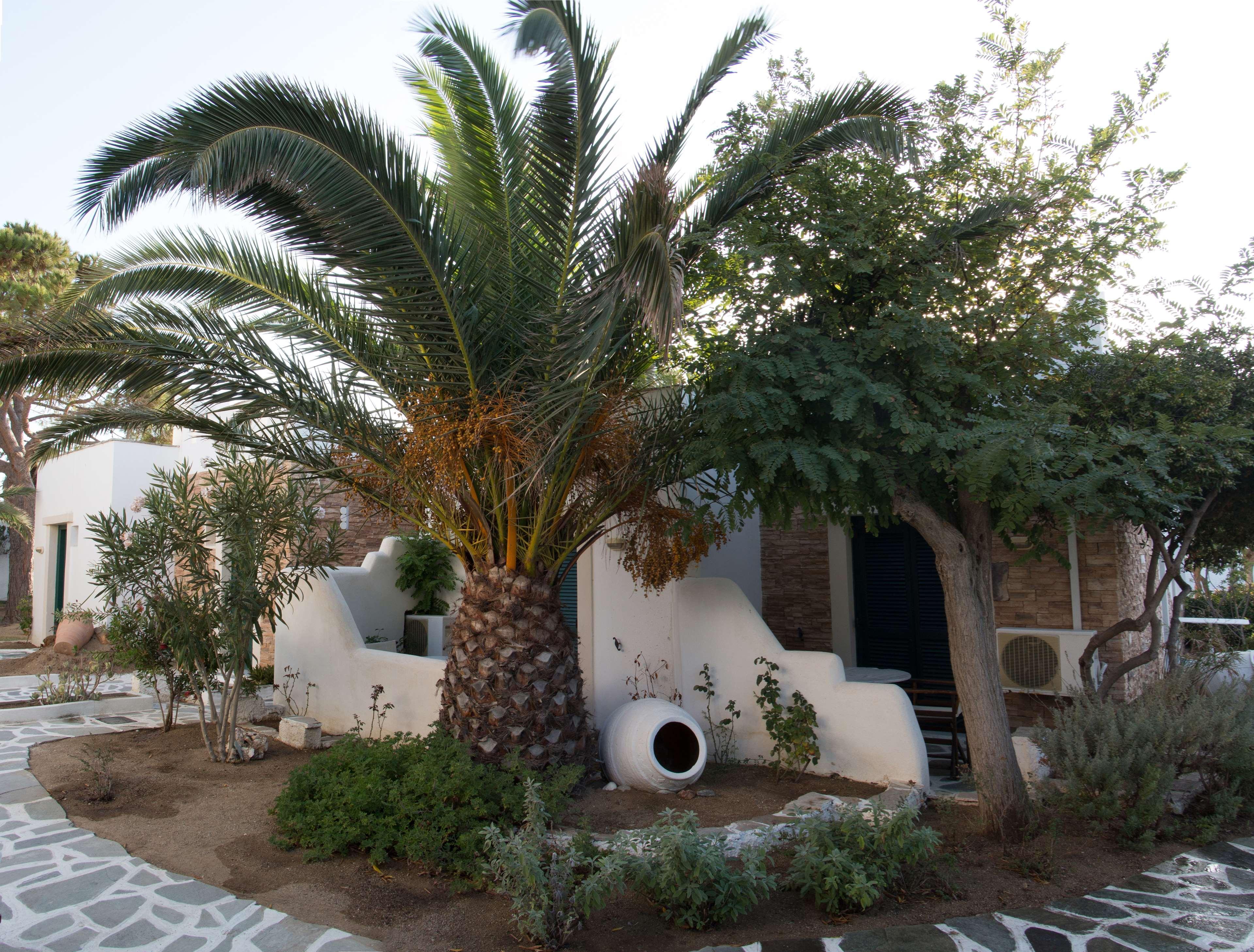 Hotel Naxos Beach Naxos City Exterior foto
